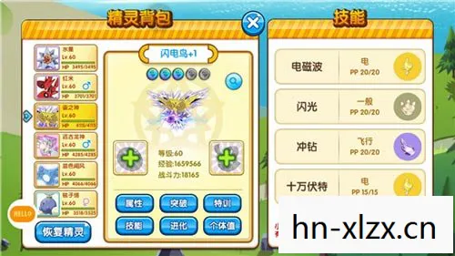 口袋怪兽钻石，探索神奇宝贝世界的财富与奇迹