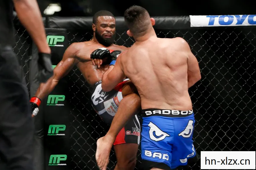 UFC 2010，终极格斗的巅峰对决