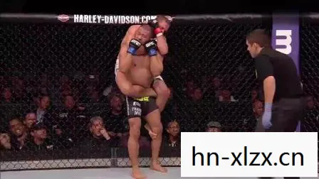 UFC 2010，终极格斗的巅峰对决