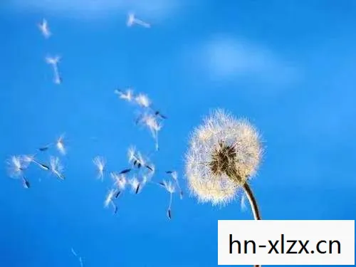 抵抗惩罚,如何在逆境中保持坚韧与成长 抵抗惩罚,如何在逆境中保持坚韧与成长