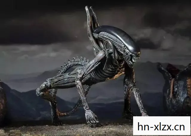 异形与人类,一场跨物种的较量 异形与人类,一场跨物种的较量