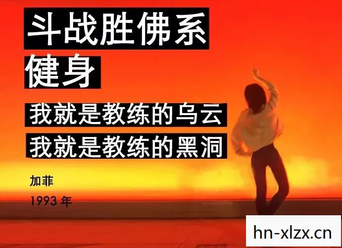 大海张雨生，探索Dahaizhan，一个数字时代的文化现象
