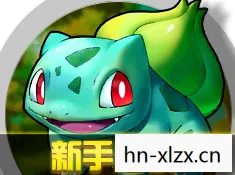 口袋妖怪钻石攻略图解，口袋妖怪，钻石的传奇之旅