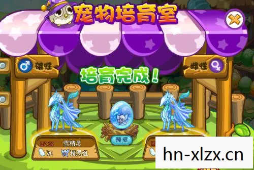洛克王国活动纪念精灵蛋用什么球，洛克王国活动，探索奇幻世界的奇妙之旅
