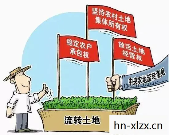经营农场是按什么分配,经营农场,从土地到餐桌的全方位指南 经营农场是按什么分配,经营农场,从土地到餐桌的全方位指南