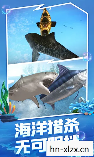 海底大猎杀正版下载,海底大猎杀,揭秘深海未知生物的神秘世界 海底大猎杀正版下载,海底大猎杀,揭秘深海未知生物的神秘世界