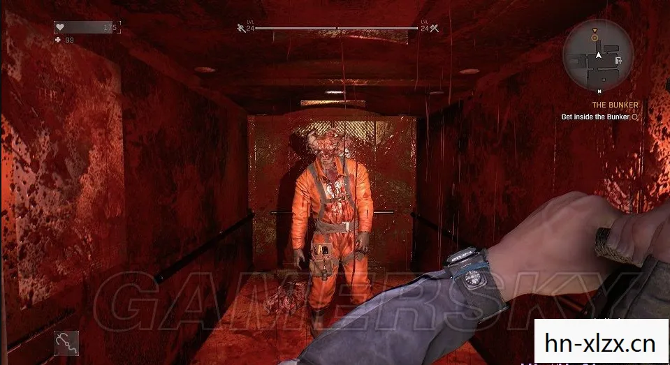 dying light custom game区别，消逝的光芒，在绝望中寻找希望