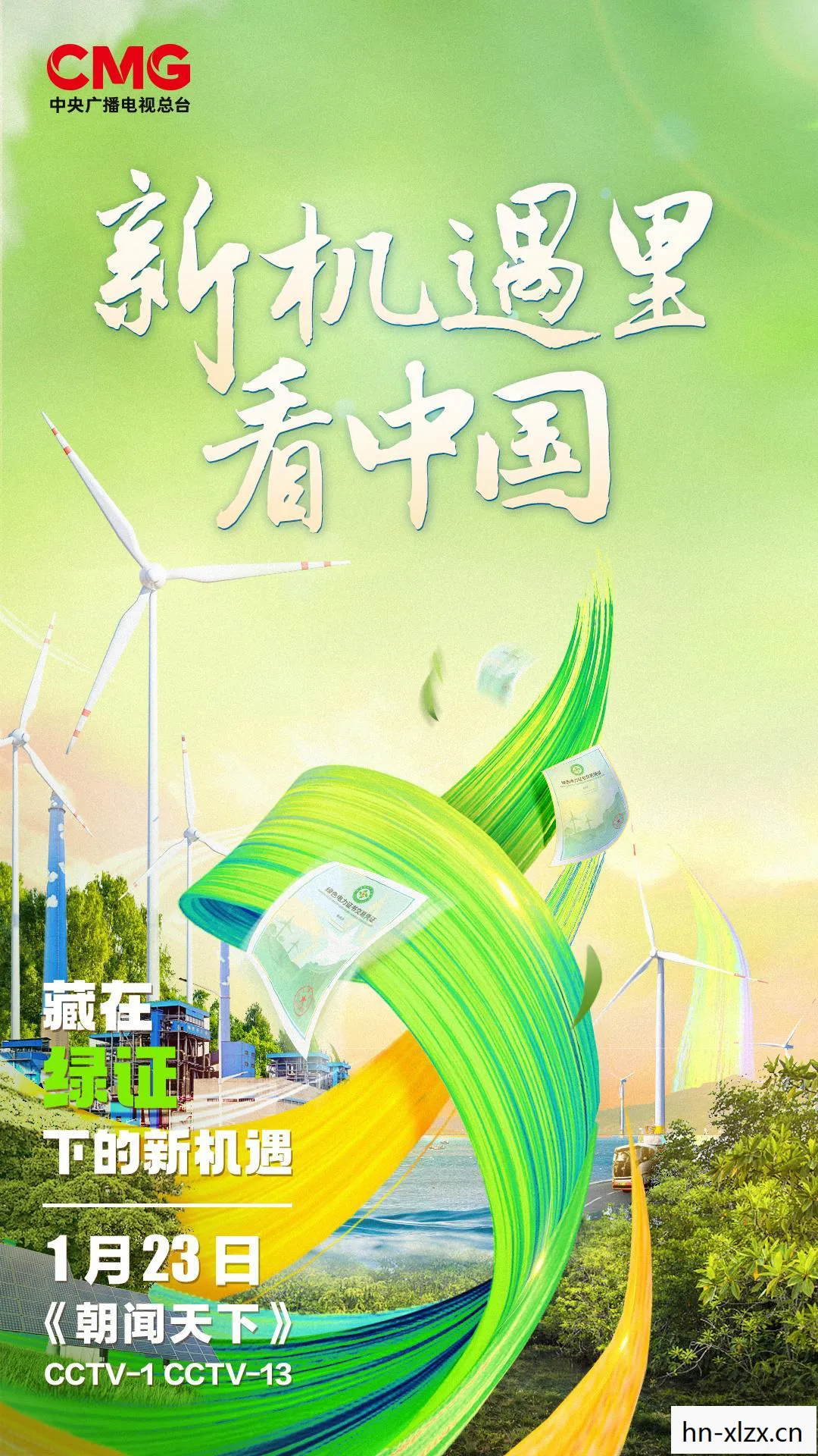向阳而生是什么意思，向阳，追寻生命中的那一抹温暖