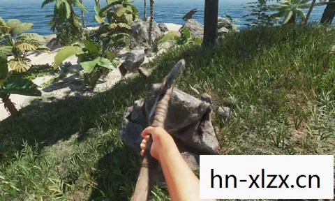 stranded deep荒岛求生，Stranded Deep，海洋生存挑战与人性光辉的交织