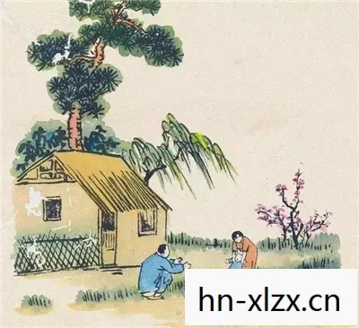 暮菖兰和重楼选哪个，暮菖兰，岁月静好，时光如诗