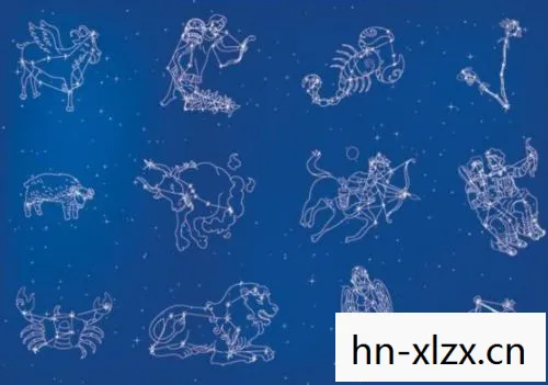 虫群之心毁灭载体星，虫群之心，探索自然界的奥秘与智慧
