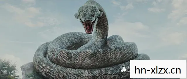 蛇王龙和蛇帝龙,蛇王龙,神秘而古老的爬行动物 蛇王龙和蛇帝龙,蛇王龙,神秘而古老的爬行动物