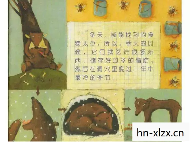 铁观音的功效与作用，游戏世界中的TGY，探索、成长与友谊的奇妙旅程