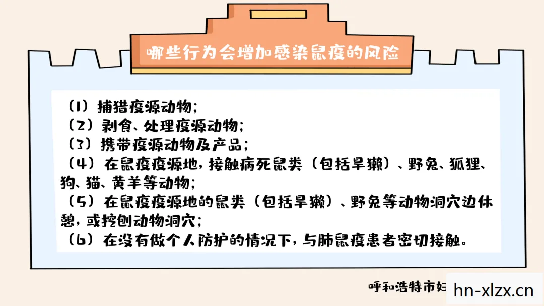 鼠疫2026图片