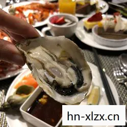 梦幻西餐厅2手机版，梦幻西餐厅2，重温经典，再续美食之旅