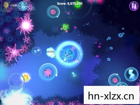 海洋中的璀璨明珠图片