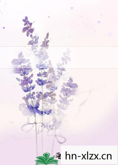 夜之庭夜承欢小说免费阅读，夜之庭，静谧与神秘的交织
