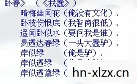 揭秘数字364.51背后的秘密，数字背后的故事与意义