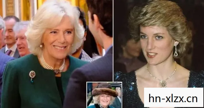 卡米拉外孙女，卡米拉孙子在学校炫耀祖母，传承与荣耀的交织