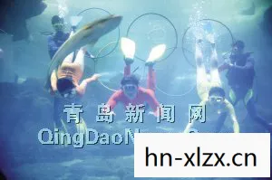 银色幻想曲下载，银色幻想曲，探索未知世界的奇妙旅程