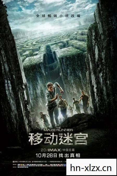 黑湾海盗中文版，黑湾海盗，历史与传说中的神秘存在