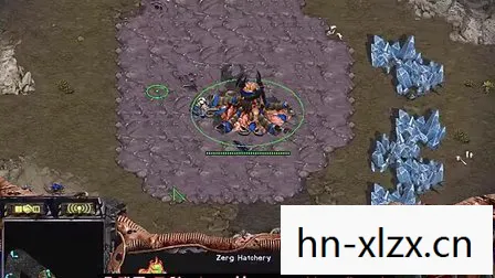 IPXzerg，探索游戏世界的无限可能