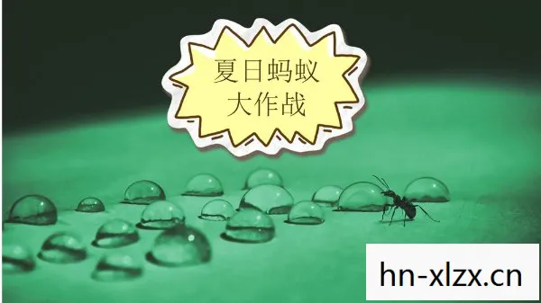 蚂蚁大作战中文版下载,蚂蚁大作战中文版,一场微观世界的策略盛宴 蚂蚁大作战中文版下载,蚂蚁大作战中文版,一场微观世界的策略盛宴