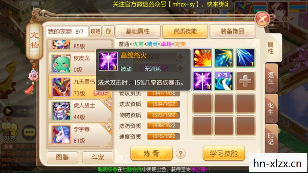探索奇幻世界的力量之源图片
