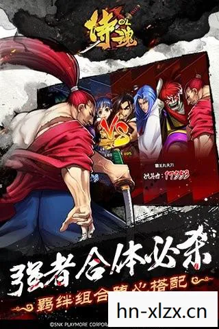霸王丸绝招叫什么,霸王丸绝招,传承与创新的武术艺术 霸王丸绝招叫什么,霸王丸绝招,传承与创新的武术艺术