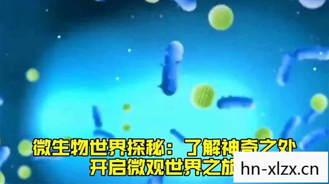 原子之心双生舞伶,原子之心,探索微观世界的奇妙之旅 原子之心双生舞伶,原子之心,探索微观世界的奇妙之旅