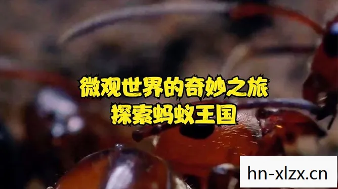 原子之心双生舞伶,原子之心,探索微观世界的奇妙之旅 原子之心双生舞伶,原子之心,探索微观世界的奇妙之旅
