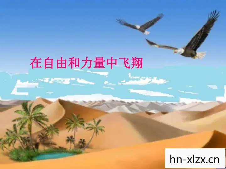 草上飞打一字是什么字，草上飞，一场关于速度与自由的浪漫冒险