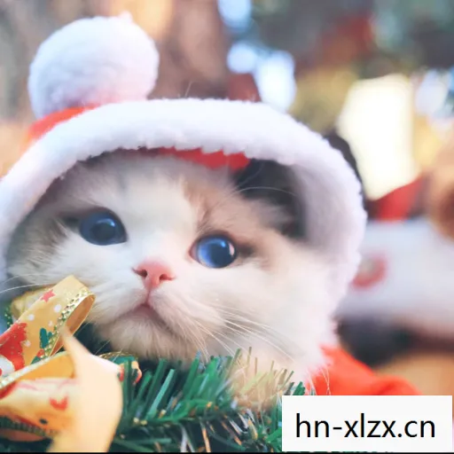 多罗猫头像，多罗猫，萌宠背后的故事与文化