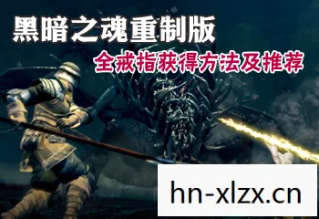 暗黑之魂2冷狐版，暗黑之魂，探索未知世界的勇气与智慧