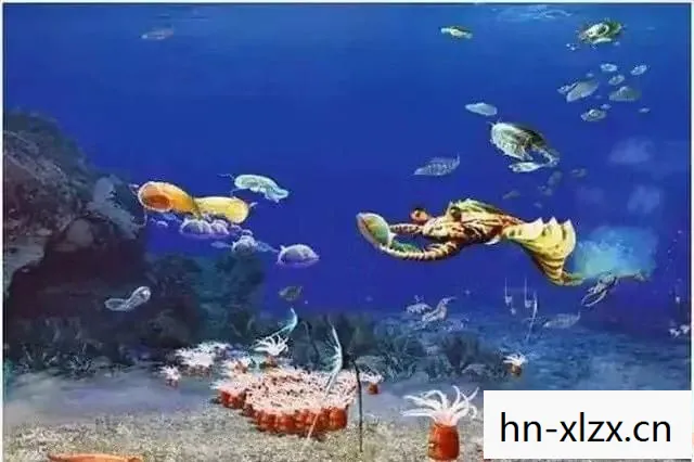 真菌世界汉化版，真菌世界，探索地球上最古老的生命形式之一