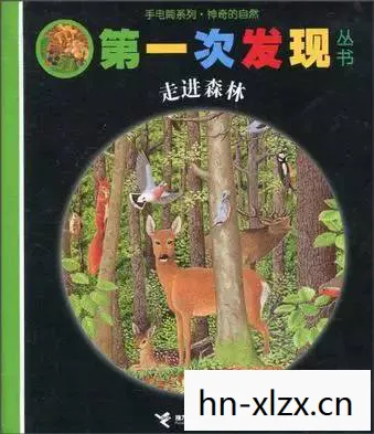 花之国的资料，花之国，探索自然之美与人文情怀的奇妙融合