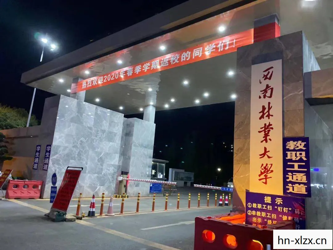 一零计划停服原因，一零计划，重塑未来教育的蓝图