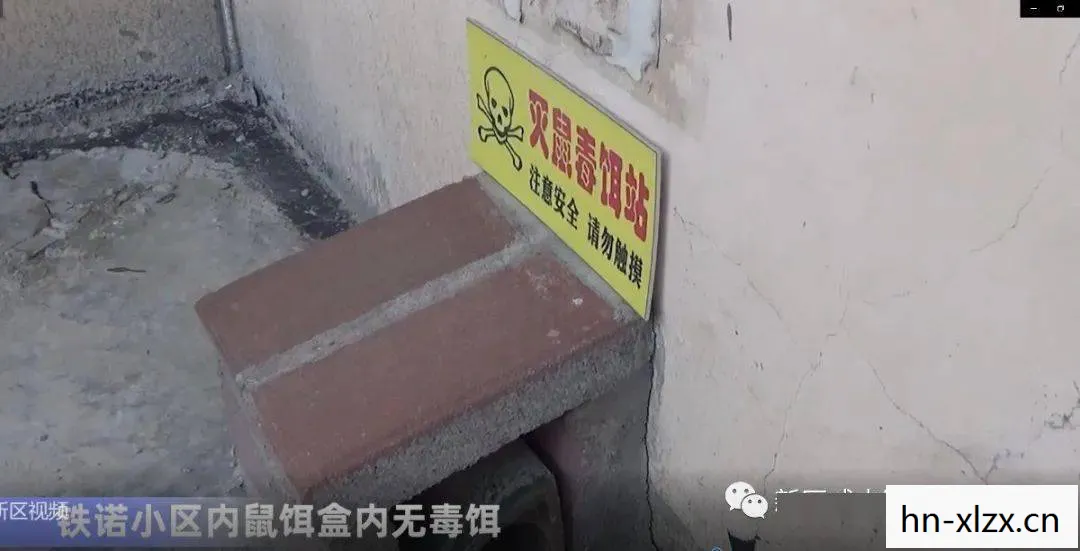 寻找更好的大麦任务怎么做，寻找更好的大麦