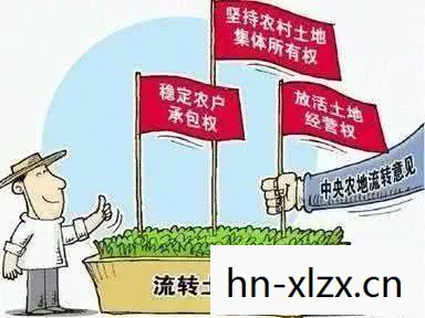 夺回作物任务怎么做,夺回作物,一场关于土地与生存的斗争 夺回作物任务怎么做,夺回作物,一场关于土地与生存的斗争