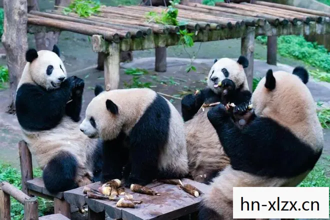 探索自然与文化的奇妙之旅图片