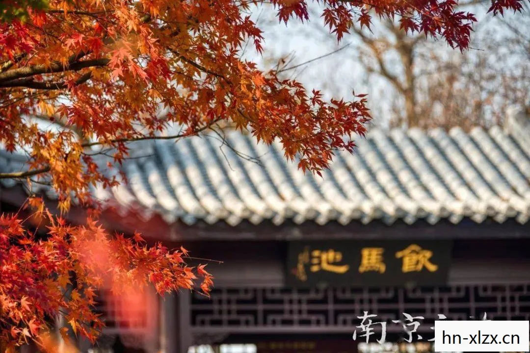 第五人格温泉系列，温泉系列，自然之吻，疗愈身心的秘境探索