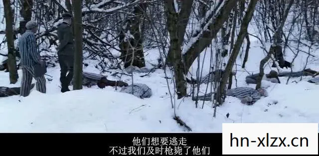 雪地逃亡电影普通话版，雪地逃亡，一场惊心动魄的生存挑战
