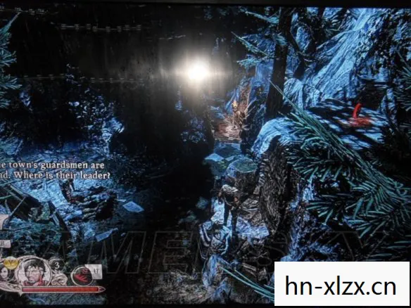 嗜血骑士游戏图文攻略视频，嗜血骑士，黑暗中的正义守护者