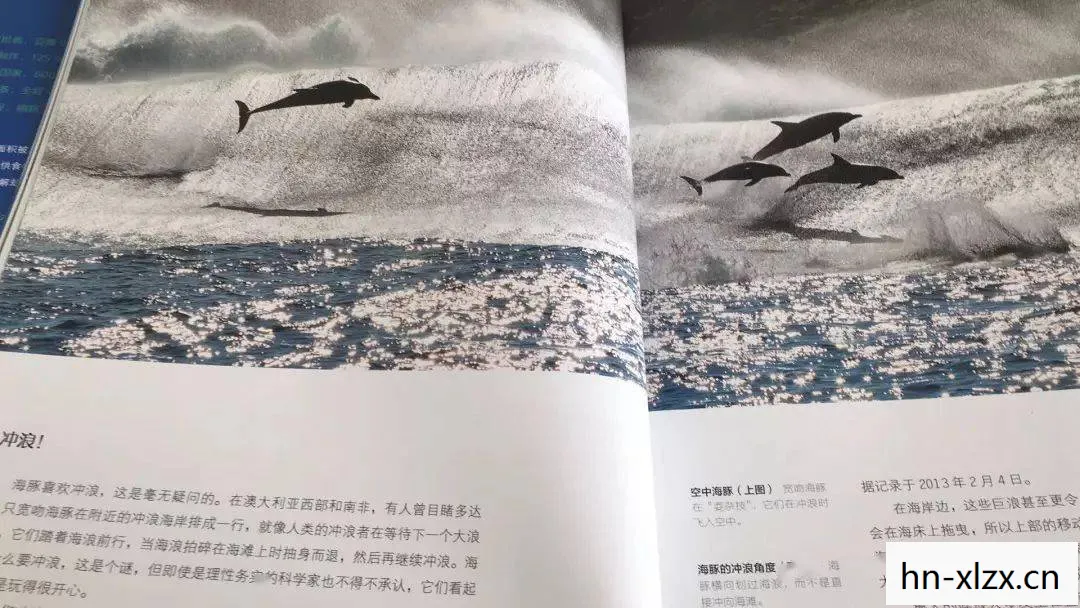折箭觅踪day4，折箭觅踪，探索古老智慧的传承与变迁