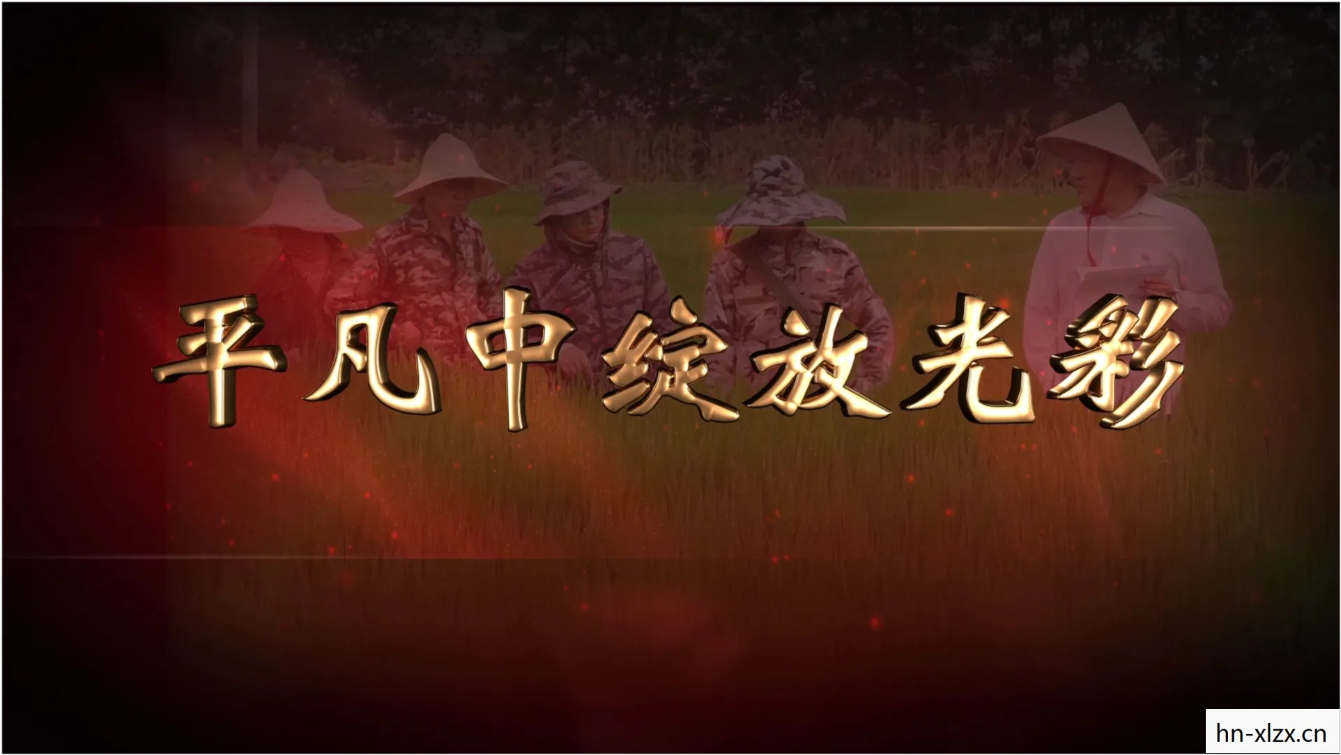 在平凡中绽放不凡的光彩图片
