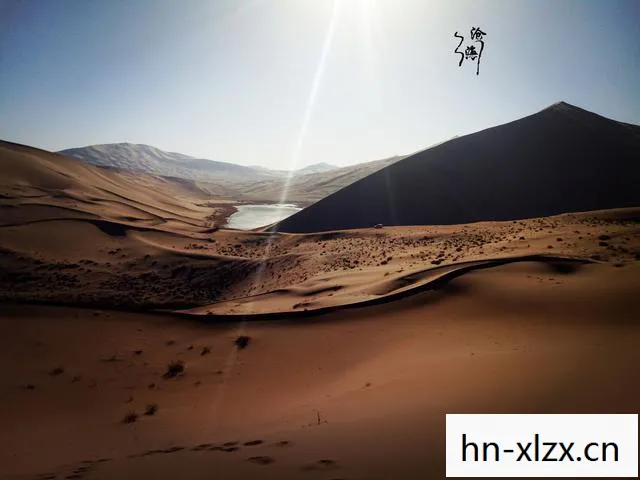 无相之草怎么打,无相之草,探寻自然之美的神秘之旅 无相之草怎么打,无相之草,探寻自然之美的神秘之旅