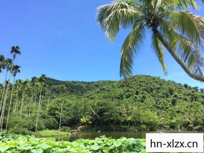 丽丽的假日怎么完成,丽丽的假日,一场说走就走的旅行 丽丽的假日怎么完成,丽丽的假日,一场说走就走的旅行