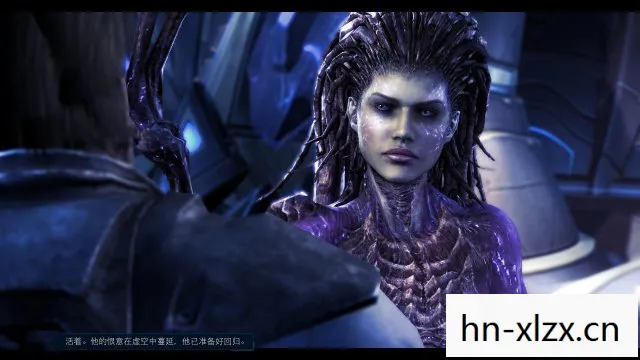 虚空之遗结局什么意思，虚空之遗，星际争霸的传奇终章
