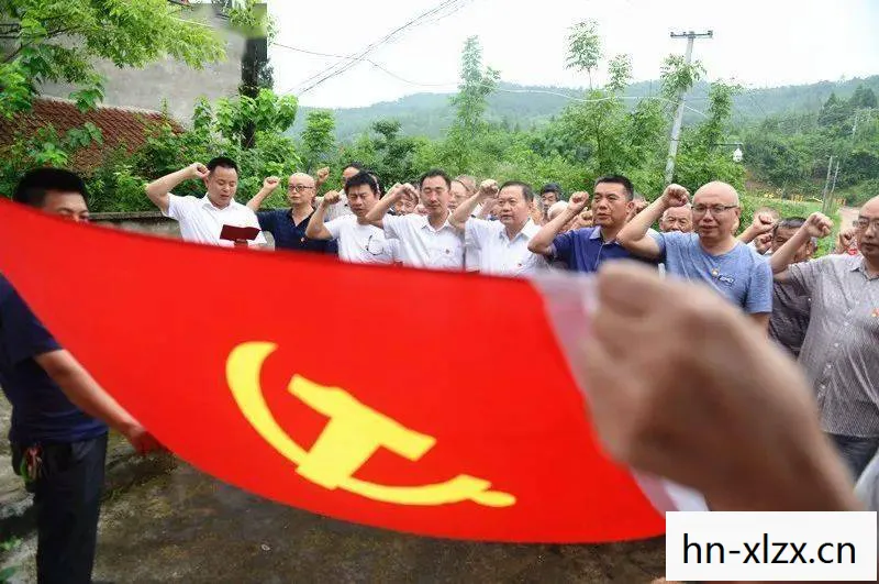 宣誓举手正确姿势图片,宣誓,承诺与责任的庄严时刻 宣誓举手正确姿势图片,宣誓,承诺与责任的庄严时刻