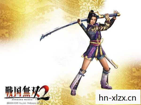 战国无双2全人物武器拿法，战国无双2，历史与传奇的交织